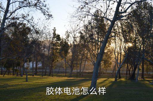 胶体电池怎么样